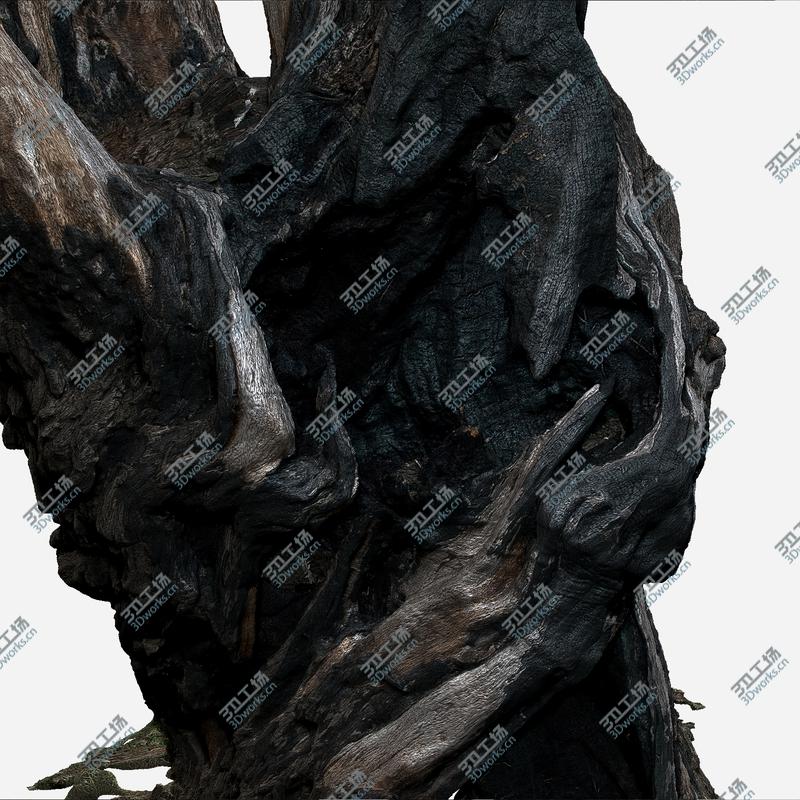 images/goods_img/202105073/Tree charred trunk willow/3.jpg